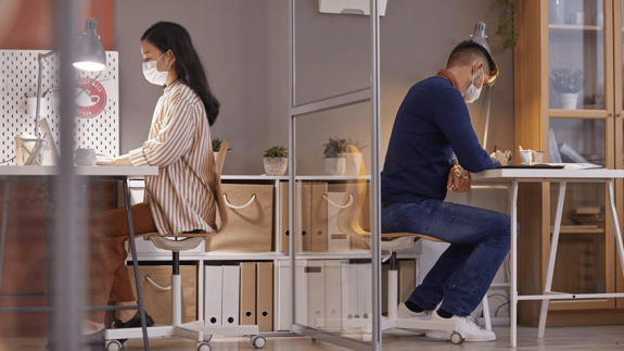 Two team members working in back to back office cubicles